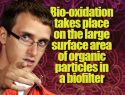 Passive Landfill Gas Biofilter Research Reveals Potential as an Effective and Viable Option Passive landfill gas biofilter