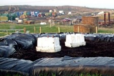 Landfill Gas Bio-oxidation research image