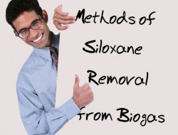 Methods of Siloxane Removal from Biogas Siloxane removal from biogas
