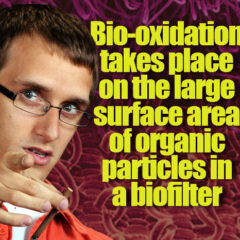 Passive landfill gas biofilter