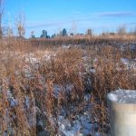 Suffolk Landfill deaths