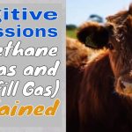 Image shows the YT thumbnail our the video about fugitive methane emissions.
