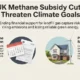 Featured infographic UK Methane Subsidy Cuts Threaten Climate Goals.