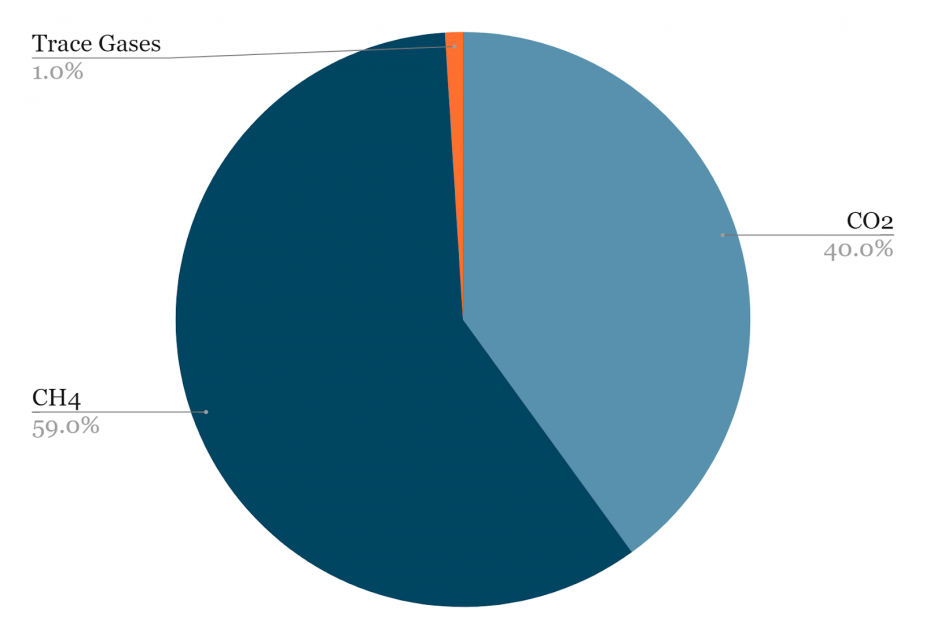 UK Landfill Gas composition data expressed in a pie chart.